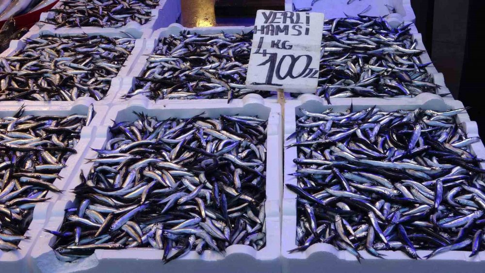 VATANDAŞ HAMSİYE DOYDU. YAKLAŞIK 1 AYDAN BERİ TEZGÂHLARDA HAMSİ FİYATLARI HEMEN HEMEN AYNI SEVİYELERDE SEYREDERKEN, TRABZON BALIK HALİ'NDE KİLOSU 25-35 TL ARASINDA DEĞİŞİYOR