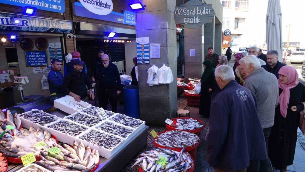 VATANDAŞ HAMSİYE DOYDU. YAKLAŞIK 1 AYDAN BERİ TEZGÂHLARDA HAMSİ FİYATLARI HEMEN HEMEN AYNI SEVİYELERDE SEYREDERKEN, TRABZON BALIK HALİ'NDE KİLOSU 25-35 TL ARASINDA DEĞİŞİYOR