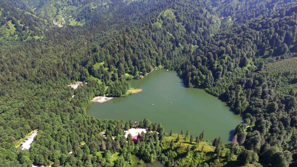 ARTVİN’İN KARAGÖLLERİNE ZİYARETÇİ AKINI OLDU. ARTVİN'İN DOĞAL HARİKASI BORÇKA VE ŞAVŞAT KARAGÖLLERİNİ BU YIL 580 BİN 432 KİŞİYİ ZİYARET ETTİ