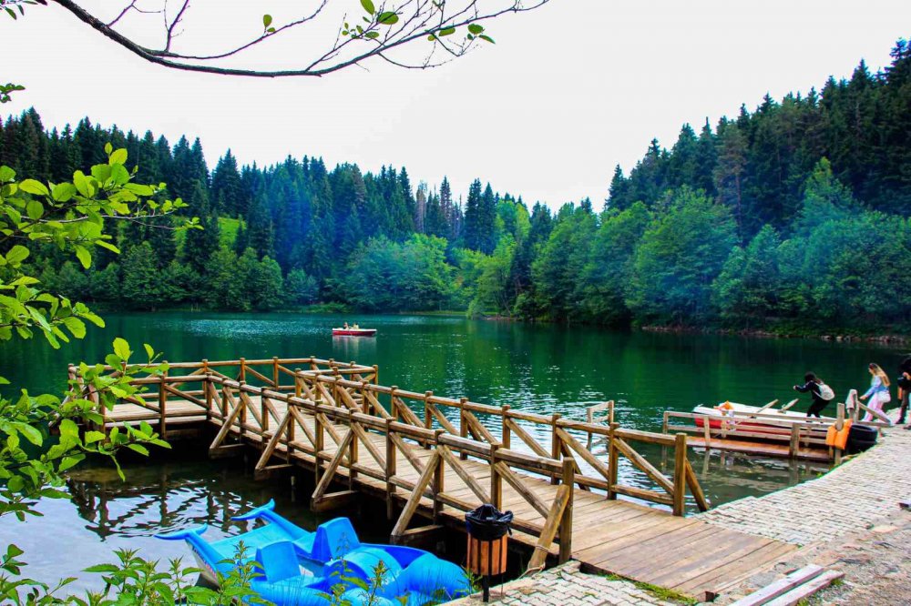 ARTVİN’İN KARAGÖLLERİNE ZİYARETÇİ AKINI OLDU. ARTVİN'İN DOĞAL HARİKASI BORÇKA VE ŞAVŞAT KARAGÖLLERİNİ BU YIL 580 BİN 432 KİŞİYİ ZİYARET ETTİ