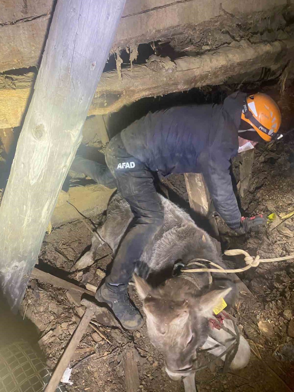 ARTVİN MERKEZE BAĞLI ORTAKÖY KÖYÜNDE GECE YARISI MEYDANA GELEN HEYELANDA BİR BÜYÜKBAŞ HAYVAN TELEF OLURKEN, 2 KATLI AHŞAP EV KULLANILAMAZ HALE GELDİ