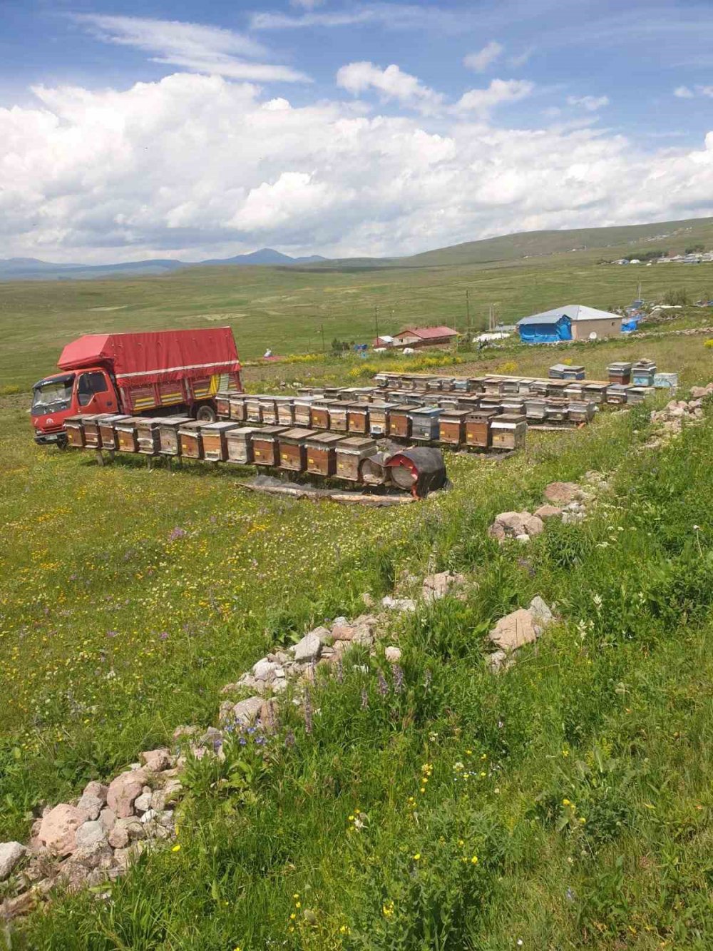 RİZELİ ARICI MAHMUT ATABAY, ARILARIN KAFKAS ARISI DEĞİL DENİLEREK ARDAHAN VE ARTVİN’DEN ÇIKARTILMIŞTI. ARILARININ "KAFKAS ARISI" OLDUĞU GERÇEĞİNİ KANITLADI.ÖLEN ARILARININ ZARARINI KARŞILAMAK İÇİN HUKUK MÜCADELESİ BAŞLATTI
