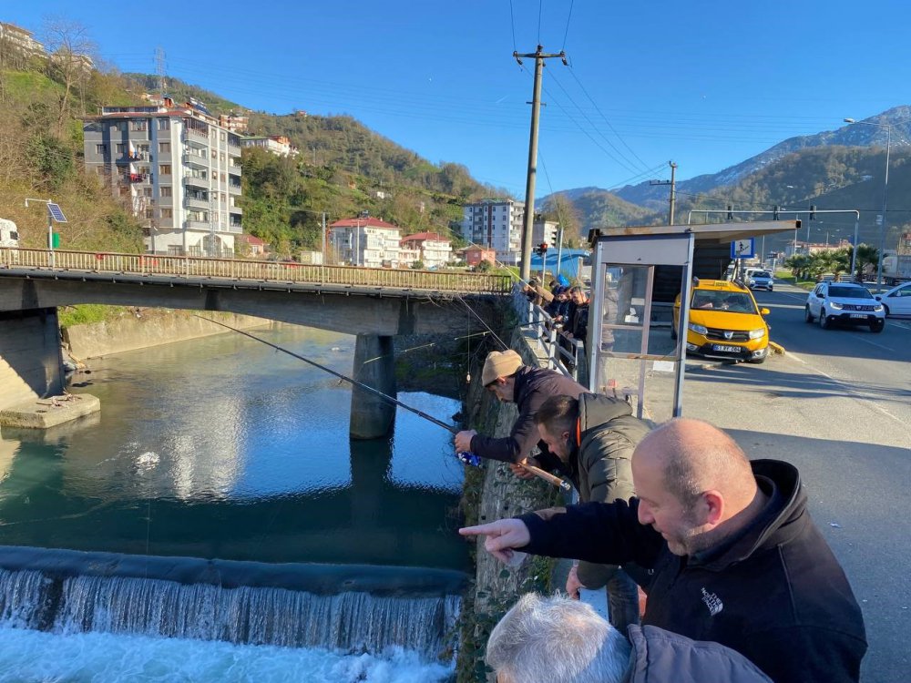 ARTVİN'İN HOPA İLÇESİNDE DENİZDE MEYDANA GELEN FIRTINA NEDENİYLE BALIK KAFESLERİNDEN BİRİ YIRTILDI. BİNLERCE SOMON AKINTIYI TAKİP EDEREK SUNDURA DERESİ'NE GİRDİ. HABERİ ALAN VATANDAŞLAR, OLTASINI ALIP DEREYE AKIN ETTİ