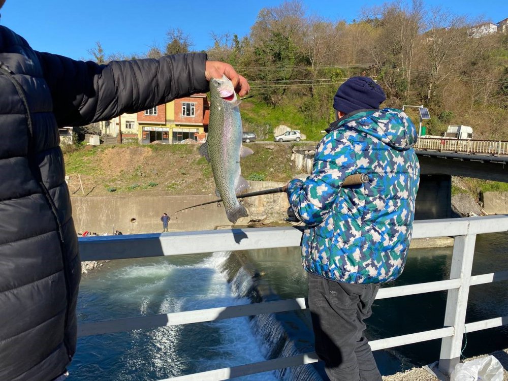 ARTVİN'İN HOPA İLÇESİNDE DENİZDE MEYDANA GELEN FIRTINA NEDENİYLE BALIK KAFESLERİNDEN BİRİ YIRTILDI. BİNLERCE SOMON AKINTIYI TAKİP EDEREK SUNDURA DERESİ'NE GİRDİ. HABERİ ALAN VATANDAŞLAR, OLTASINI ALIP DEREYE AKIN ETTİ