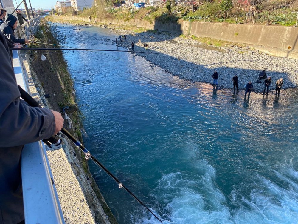 ARTVİN'İN HOPA İLÇESİNDE DENİZDE MEYDANA GELEN FIRTINA NEDENİYLE BALIK KAFESLERİNDEN BİRİ YIRTILDI. BİNLERCE SOMON AKINTIYI TAKİP EDEREK SUNDURA DERESİ'NE GİRDİ. HABERİ ALAN VATANDAŞLAR, OLTASINI ALIP DEREYE AKIN ETTİ