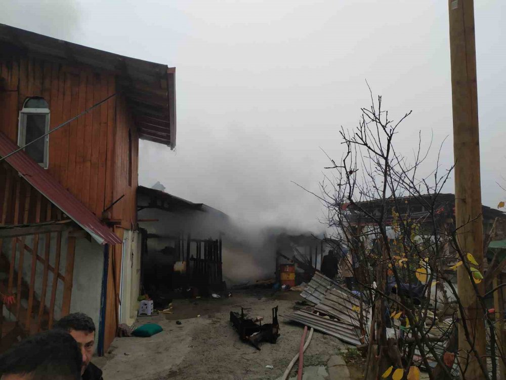 SAMSUN'UN VEZİRKÖPRÜ İLÇESİNDE BİR AHIRDA ÇIKAN YANGINDA 7 BÜYÜKBAŞ HAYVAN TELEF OLDU