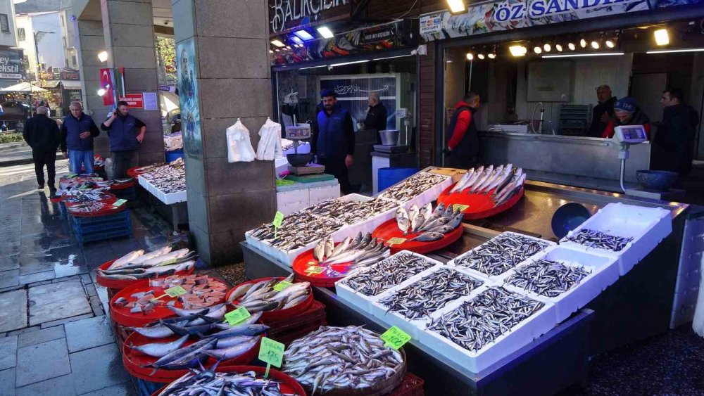 HAMSİ AVI DÜŞÜŞE GEÇTİ, FİYATI İKİYE KATLANDI.35 TL'DEN SATILAN HAMSİ BUGÜN İTİBARİYLE TEZGÂHLARDA 60-70 TL'YE SATILMAYA BAŞLADI