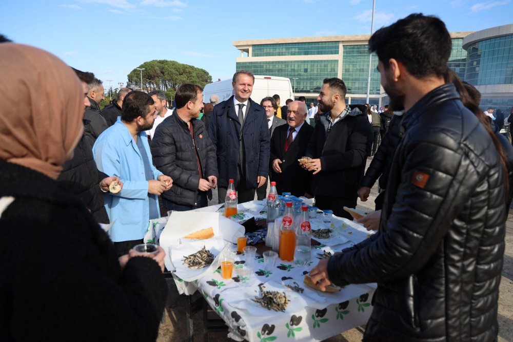 ORDU ÜNİVERSİTESİ CUMHURİYET YERLEŞKESİ'NDE ÖĞRENCİLERE YAKLAŞIK 1 TON HAMSİ İKRAMI YAPILDI