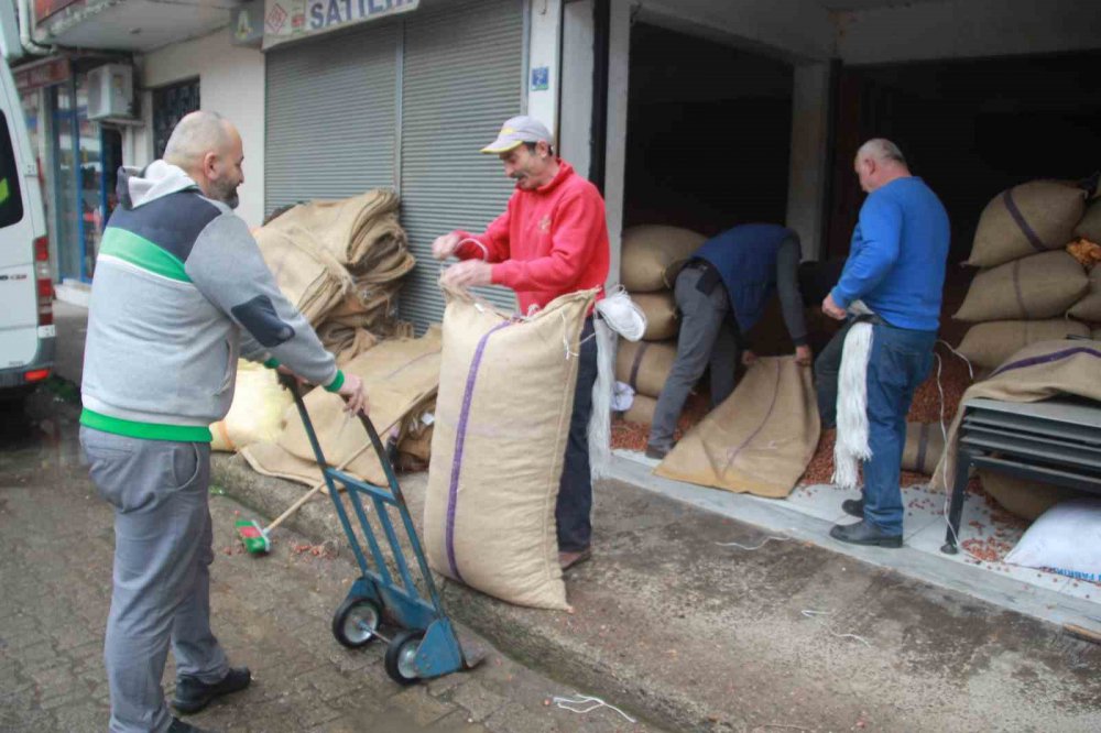 ORDU’DA SERBEST PİYASADA FINDIK 105 LİRAYA ULAŞTI