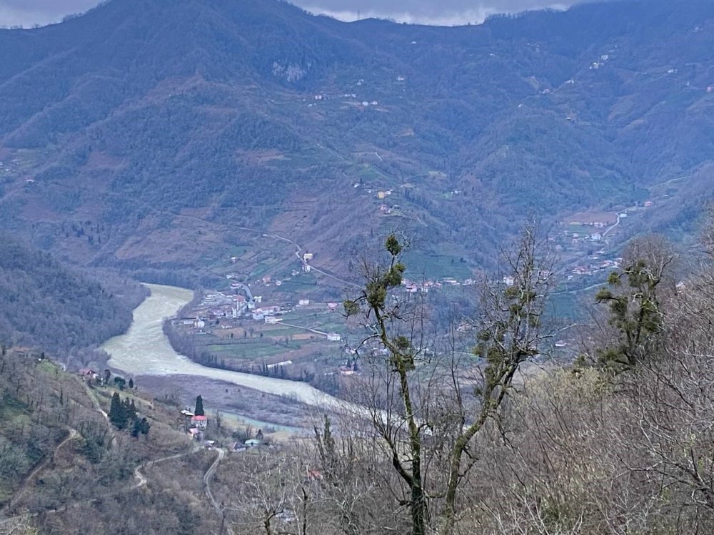 GÜRCÜ KÖYÜ KIRNATİ, ARTVİN'İN BORÇKA İLÇESİ MURATLI KÖYÜNDEN SINIRI GEÇEREK KÖYLERİNE GELDİĞİNİ TAHMİN ETTİKLERİ İNEĞİN SAHİBİNİ ARIYOR