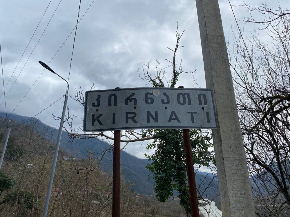 GÜRCÜ KÖYÜ KIRNATİ, ARTVİN'İN BORÇKA İLÇESİ MURATLI KÖYÜNDEN SINIRI GEÇEREK KÖYLERİNE GELDİĞİNİ TAHMİN ETTİKLERİ İNEĞİN SAHİBİNİ ARIYOR