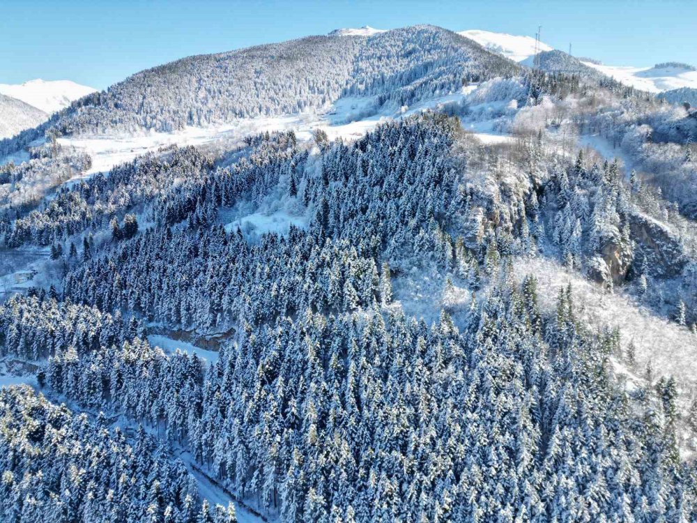 KARADENİZ İLE DOĞU ANADOLU BÖLGESİ'Nİ BİRBİRİNE BAĞLAYAN ZİGANA TÜNELİ'Nİ AÇILDIĞI 3 MAYIS 2023 TARİHİNDEN BU YANA GEÇEN 8,5 AYLIK SÜREDE 2,5 MİLYONUN ÜZERİNDE ARAÇ KULLANDI