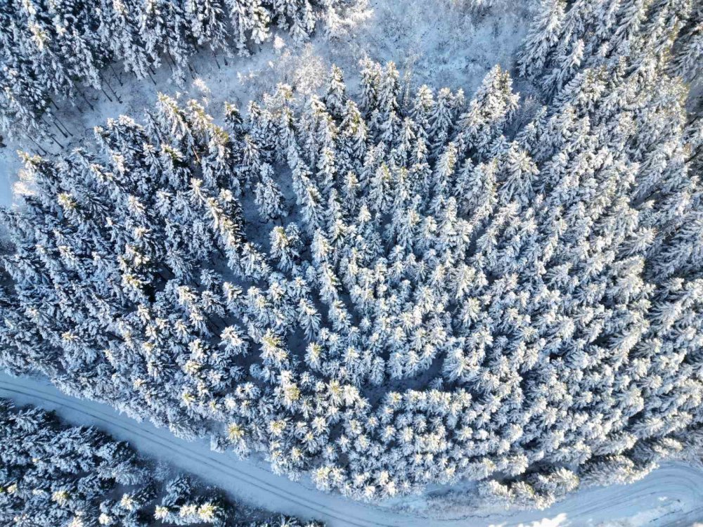 KARADENİZ İLE DOĞU ANADOLU BÖLGESİ'Nİ BİRBİRİNE BAĞLAYAN ZİGANA TÜNELİ'Nİ AÇILDIĞI 3 MAYIS 2023 TARİHİNDEN BU YANA GEÇEN 8,5 AYLIK SÜREDE 2,5 MİLYONUN ÜZERİNDE ARAÇ KULLANDI