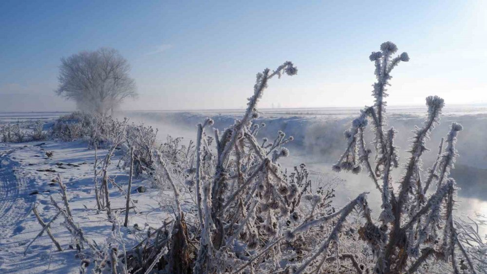 TERMOMETRELERİN-20'NİN ALTINA DÜŞTÜĞÜ ERZURUM'DA AĞAÇLAR KIRAĞINDAN BEYAZA BÜRÜNDÜ, KARASU'NUN YÜZEYİ DONDU
