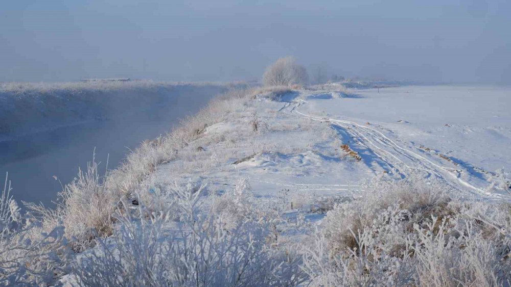 TERMOMETRELERİN-20'NİN ALTINA DÜŞTÜĞÜ ERZURUM'DA AĞAÇLAR KIRAĞINDAN BEYAZA BÜRÜNDÜ, KARASU'NUN YÜZEYİ DONDU
