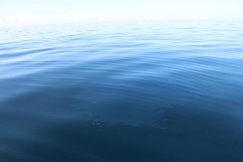 RİZE'NİN ÇAYELİ İLÇESİ AÇIKLARINDA TESPİT EDİLEN PETROLLE İLGİLİ KONUŞAN ÇAYELİ BELEDİYE BAŞKANI İSMAİL HAKKI ÇİFTÇİ, "BÜTÜN UMUTLARIMIZ DENİZ NOKTASINDA" DEDİ