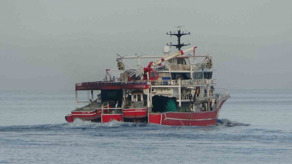 Hamsi Avı Azalınca, Balıkçılar 2 Gün Avlanmama Kararı Aldı