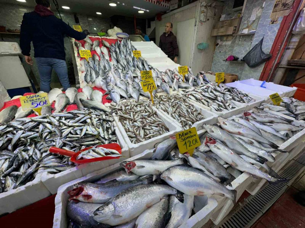 Karadeniz'de Havalar Soğudu, Balığa İlgi Arttı