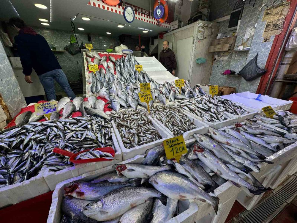 Karadeniz'de Havalar Soğudu, Balığa İlgi Arttı