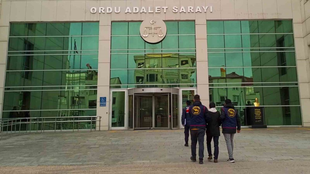 Ordu'nun Ulubey İlçesi'nde Fındık Hırsızlığı Şüphelisi Tutuklandı , 1 Ton Fındık Çalmıştı