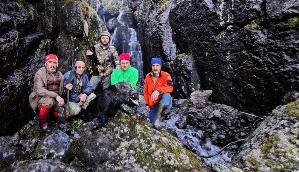 Trabzon Şalpazarlı Avcılar Ayaklandı , Yaşam alanlarına zarar veren domuzları avlamaya çıktılar