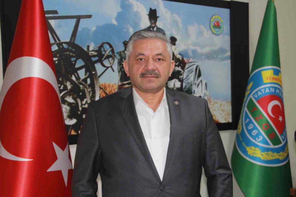 Fındıkta ’sıcak Hava’ Tehlikesi: Rekolte Kaybı Yaşanabilir