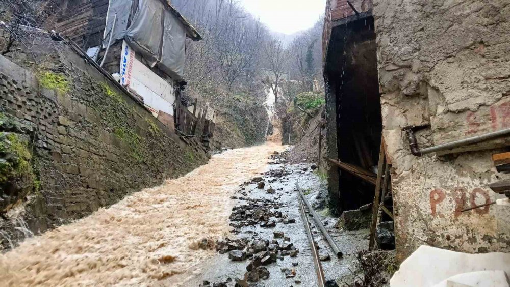 Artvin Borçka'da Heyelan Tehlikesi: Gündoğdu Mahallesi'nde 2 Bina Tahliye Edildi