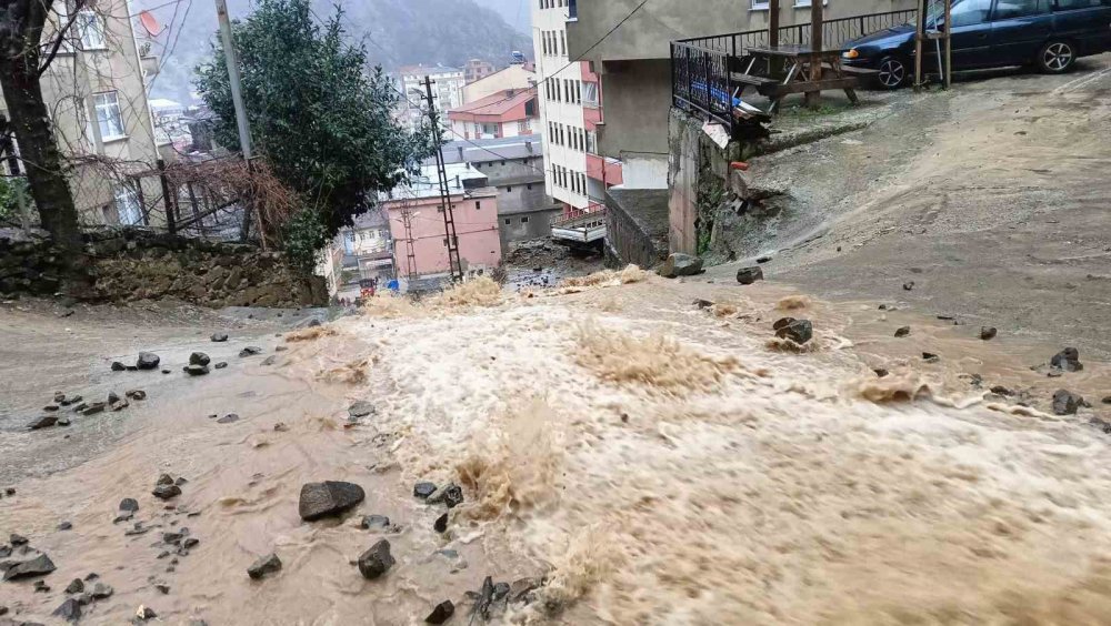 Artvin Borçka'da Heyelan Tehlikesi: Gündoğdu Mahallesi'nde 2 Bina Tahliye Edildi