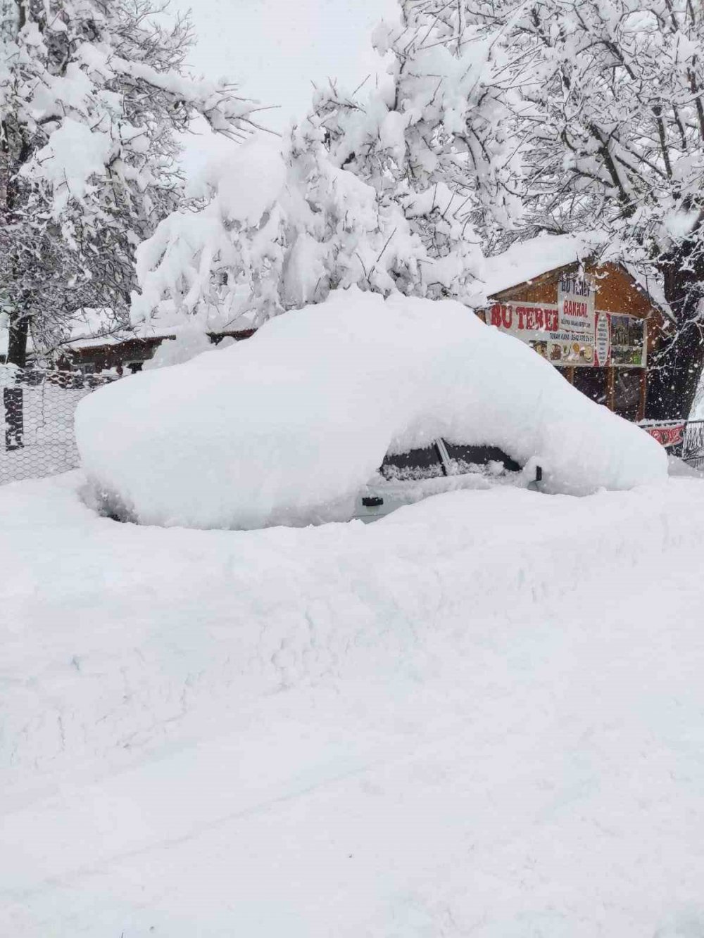 Artvin Olumsuz Hava Koşullarıyla Mücadele Ediyor