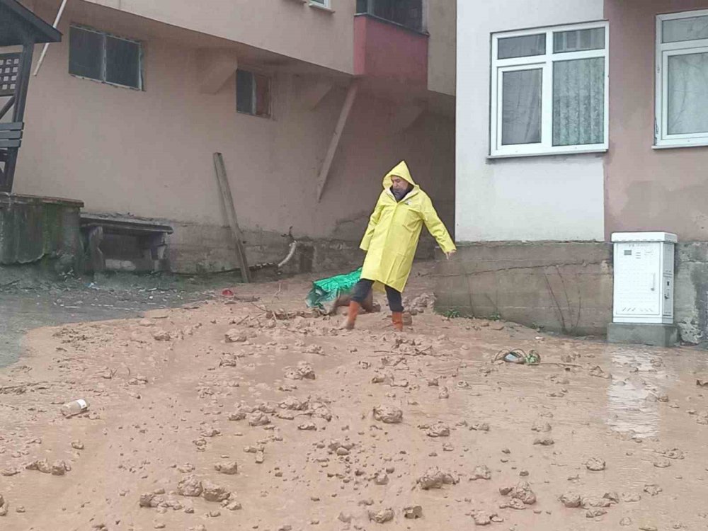 Artvin'de Şiddetli Yağışlar Borçka ve Murgul İlçelerinde Su Baskınlarına Yol Açtı