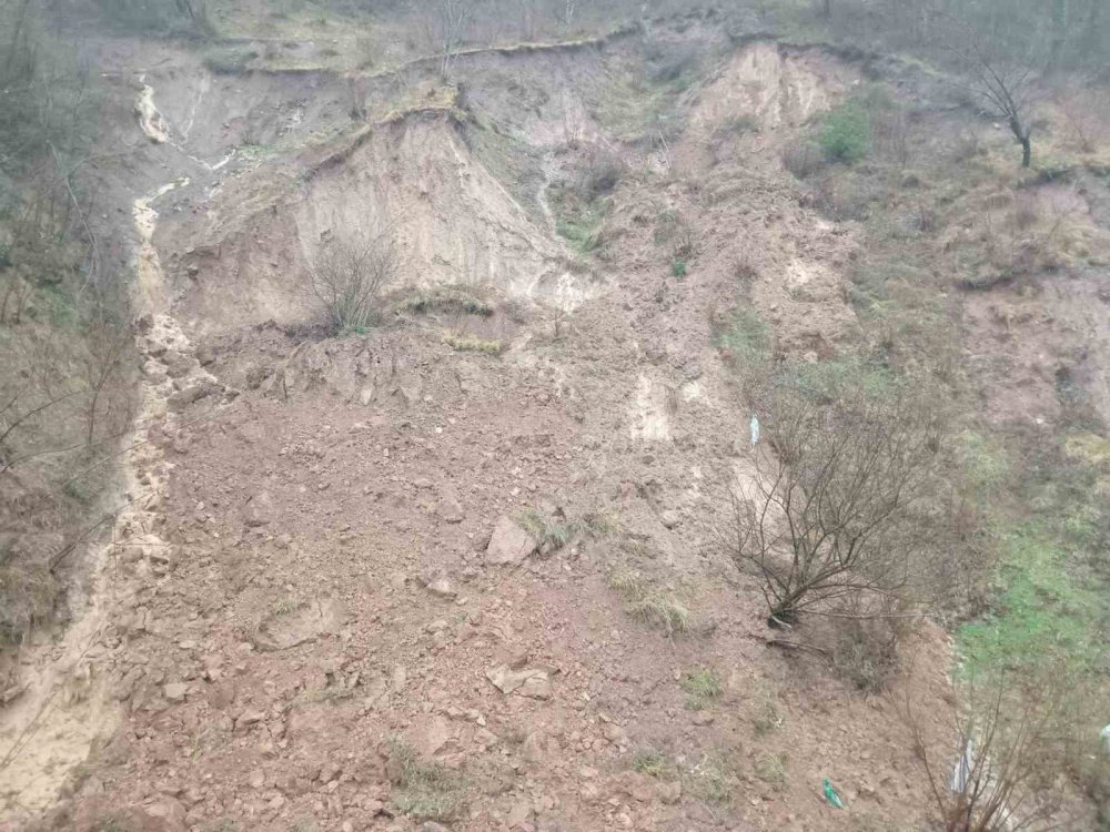 Artvin'de Şiddetli Yağışlar Borçka ve Murgul İlçelerinde Su Baskınlarına Yol Açtı