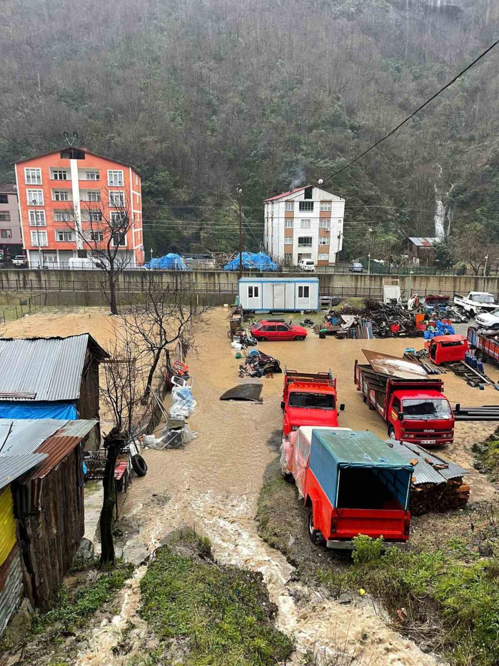 Artvin'de Şiddetli Yağışlar Borçka ve Murgul İlçelerinde Su Baskınlarına Yol Açtı