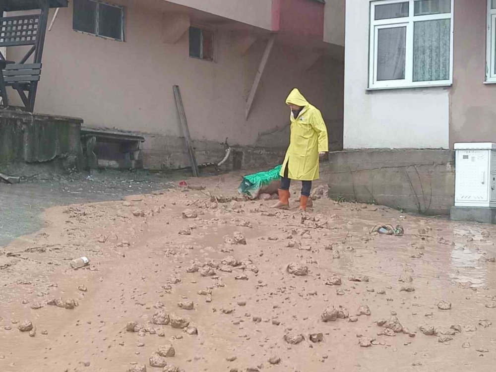 Artvin'de Şiddetli Yağışlar Borçka ve Murgul İlçelerinde Su Baskınlarına Yol Açtı