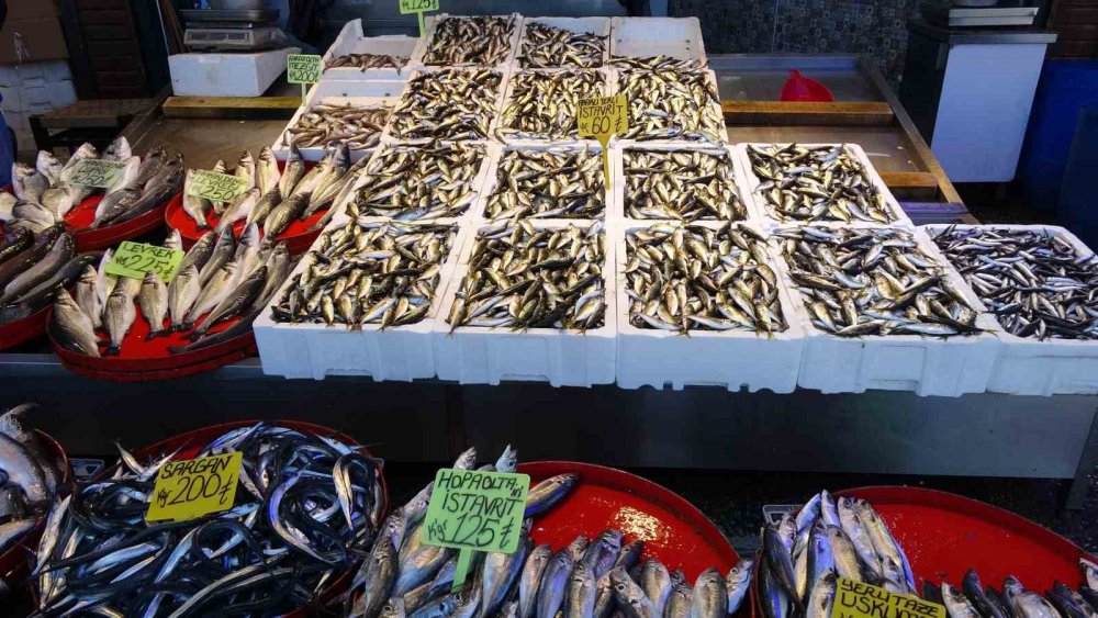 Karadeniz'de Hamsi tezgahlarda yok olurken , yerini istavrit aldı