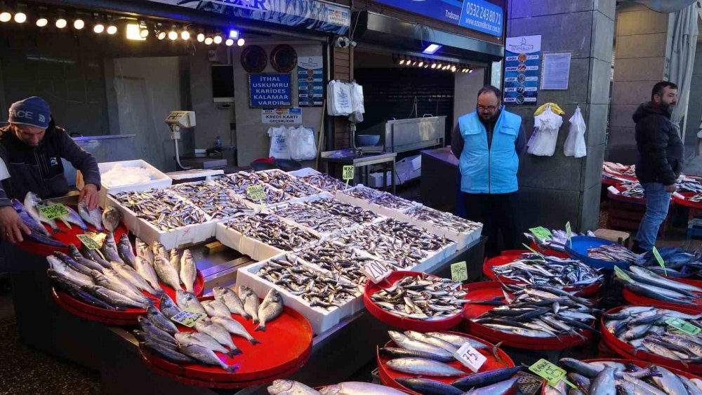 Karadeniz'de Hamsi tezgahlarda yok olurken , yerini istavrit aldı