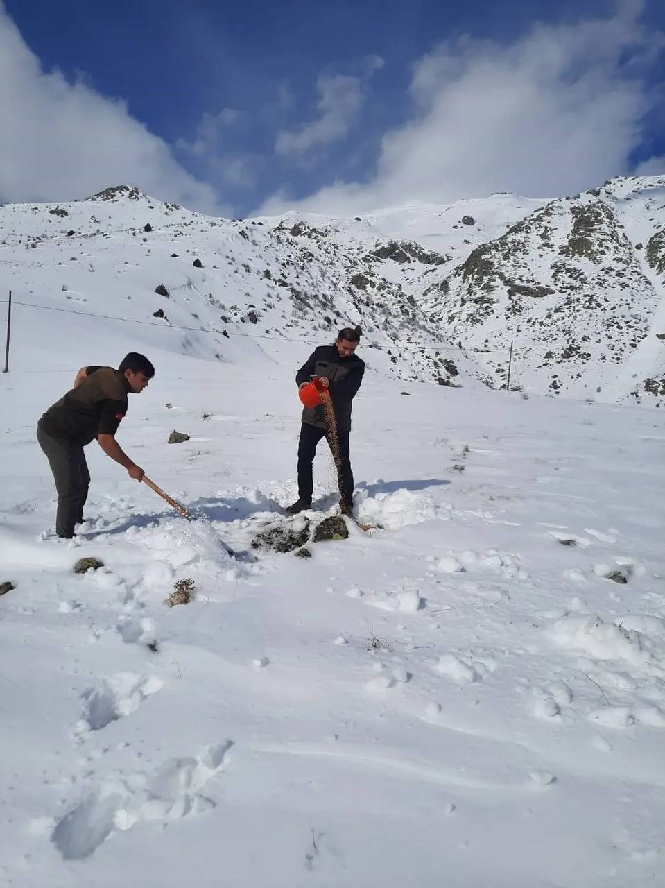 BAYBURT’TA YABAN HAYVANLARI İÇİN DOĞAYA YEM BIRAKILDI