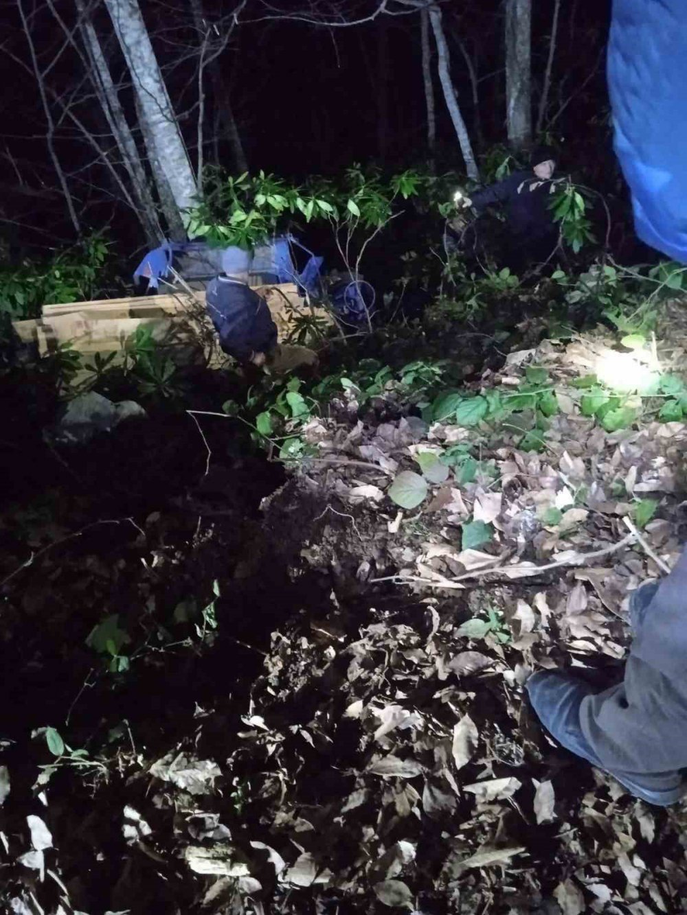 Zonguldak'ın Alaplı ilçesinde Patpat Devrildi: 1 Ölü