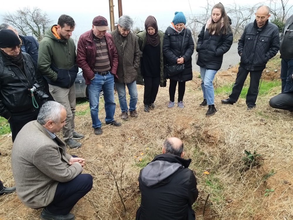 Görele’de Fındıkta Verimin Artırılması İçin Uygulamalı Fındık Bahçesi Kuruldu