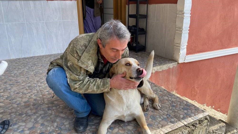 Bu Köpeğin En Büyük Tutkusu Kamyonetin Tavanında Yolculuk Etmek