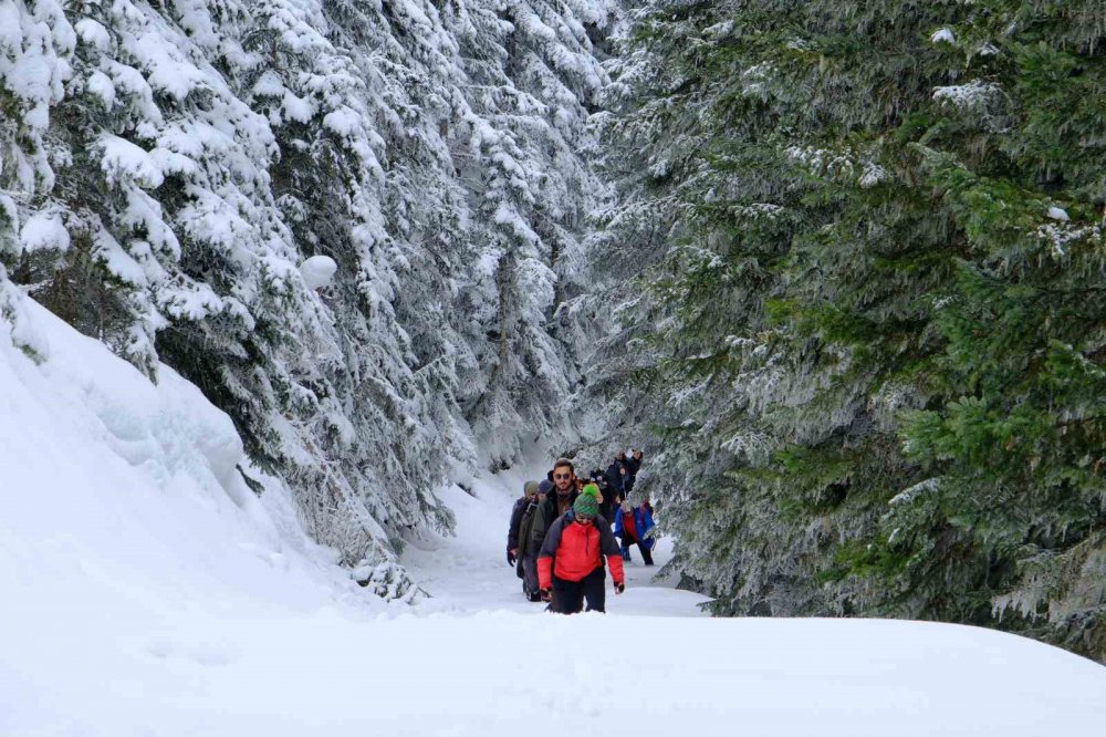 Kar Altında Büyüleyici Güzellik: Gümüşhane-şiran Sınırındaki Tersun Dağı’nda Doğa Yürüyüşü
