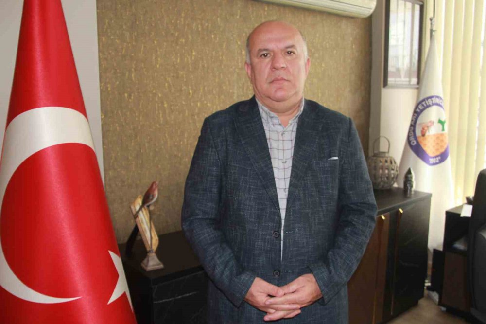 Sahte Ballar Arıcılık Sektörünü Tehlikeye Düşürüyor