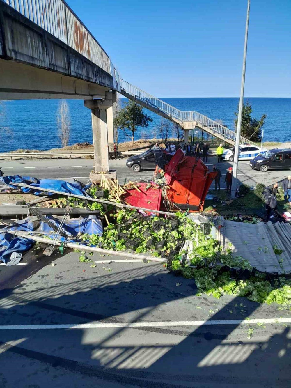 Trabzon'un Sürmene İlçesinde Tır Kazası: Sürücü Hayatını Kaybetti, Karayolunda Uzun Kuyruklar Oluştu