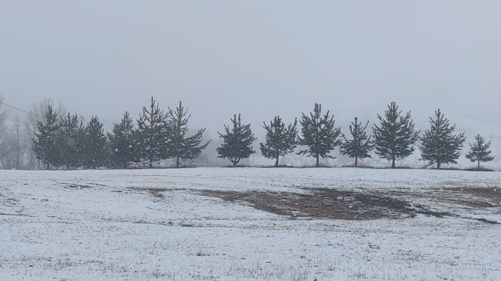 Erzurum Aşkale'de Mart Kapıdan Baktırdı