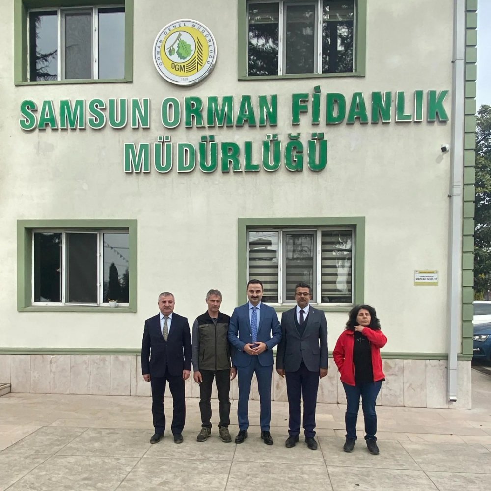 Samsun Havza Osb, Dikilecek 117 Bin Fidanla "yeşil Osb" Olacak
