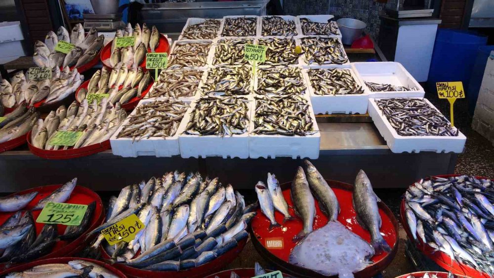 Ramazanda Tezgâhlar Farklı Balık Çeşitleriyle Şenlendi