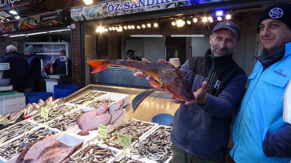 Ramazanda Tezgâhlar Farklı Balık Çeşitleriyle Şenlendi