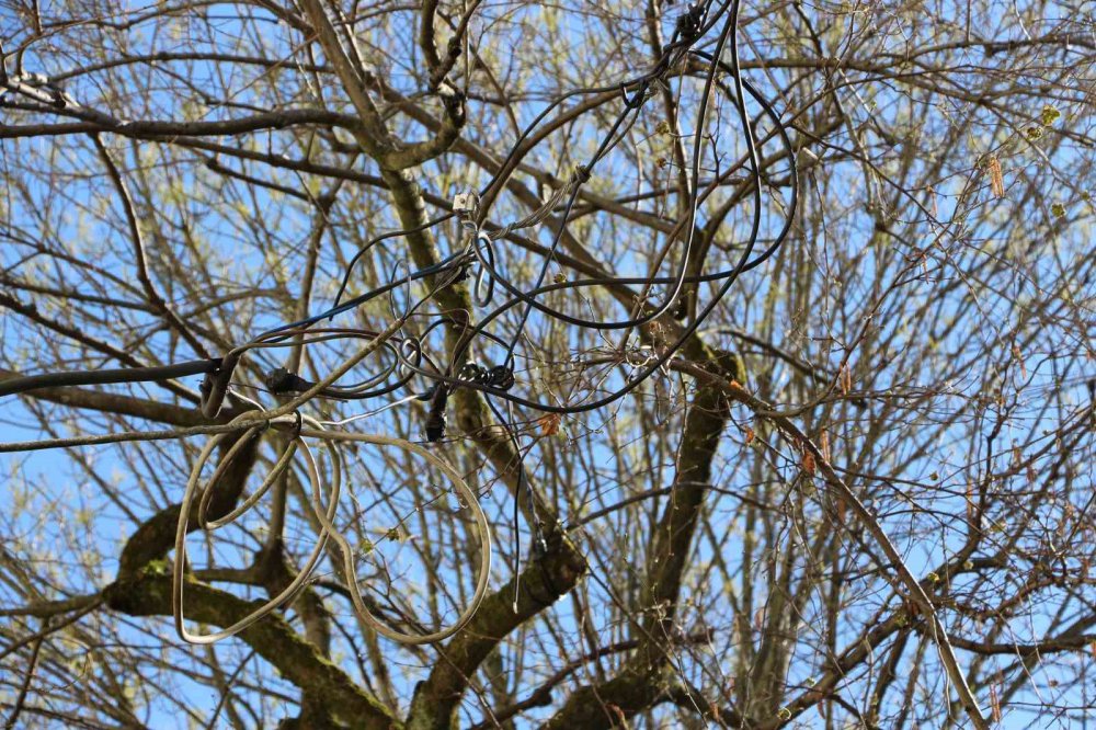 Rize'de İlginç kablo aktarması , Elektrik Direği Gitti, ’elektrik Ağacı’ Geldi
