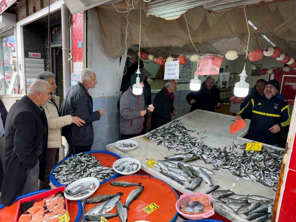 Rize Pazarda Ucuz İstavrit kuyruğu