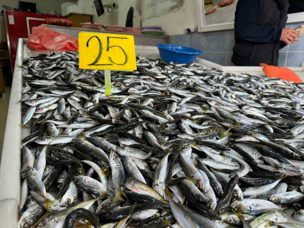 Rize Pazarda Ucuz İstavrit kuyruğu