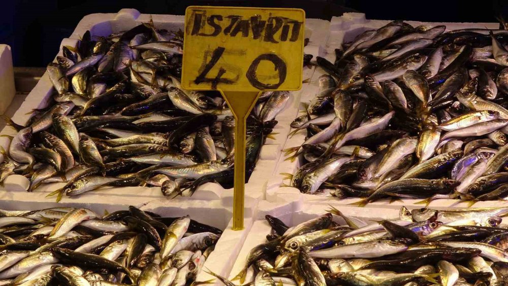 Karadeniz'in bolluğuyla dikkat çeken balık sezonunda, Trabzon Balık Hali'nde çeşitli balık türleri tezgahları süslüyor.